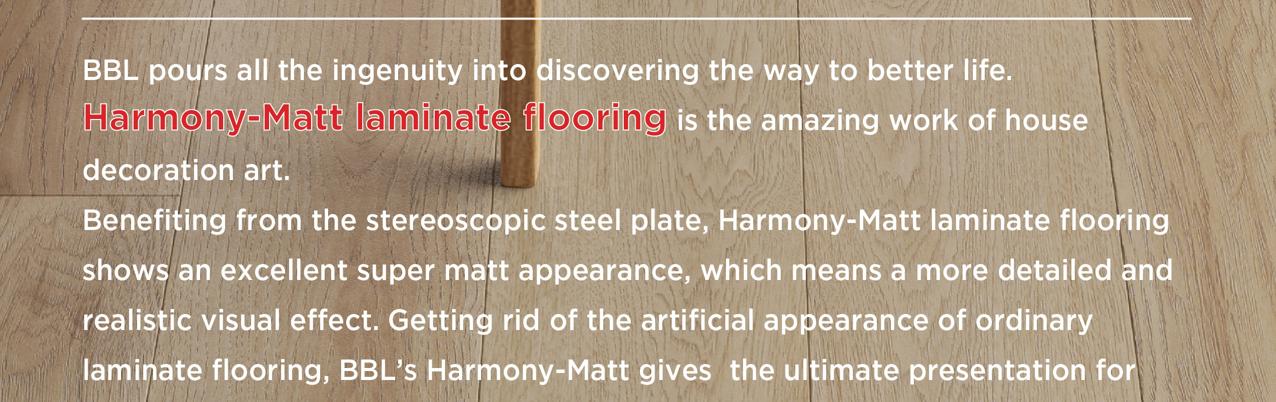 Harmony-Matt(1)_03.jpg
